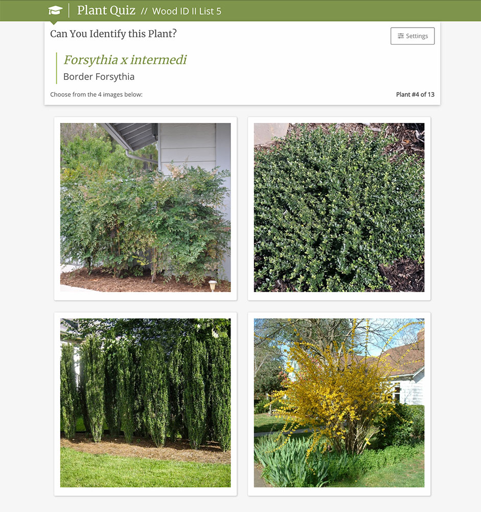 plant quizzes - select plant image